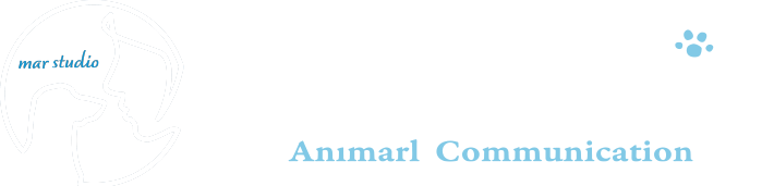 アニマルコミュニケーター、マールスタジオ - Mar Studio(マールスタジオ) | 動物と人のあいだに愛情の橋を架けるアニマルコミュニケーター